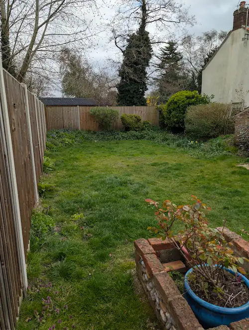 Dull lawn surface